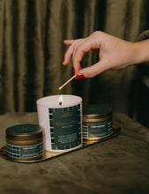 Load image into Gallery viewer, CANDLE - Whitebark Pine Soy Candle 8 oz Tin