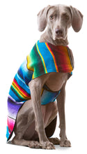Load image into Gallery viewer, DOG PONCHO